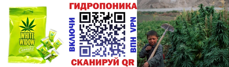 ссылка на мегу зеркало  Байкальск  darknet телеграм  Cannafood марихуана 