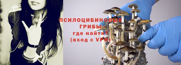 трава Аркадак