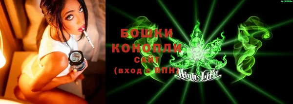 трава Аркадак