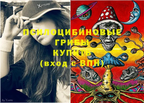 трава Армянск