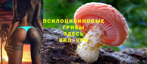 трава Армянск