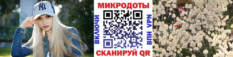 Галлюциногенные грибы Cubensis Байкальск