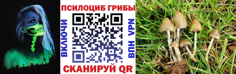 Галлюциногенные грибы GOLDEN TEACHER  Байкальск 